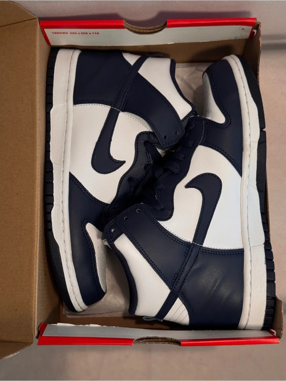 Nike 2021 Dunk High GS 